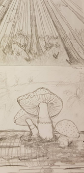 Perspective Sketch of a Forest and Mushrooms